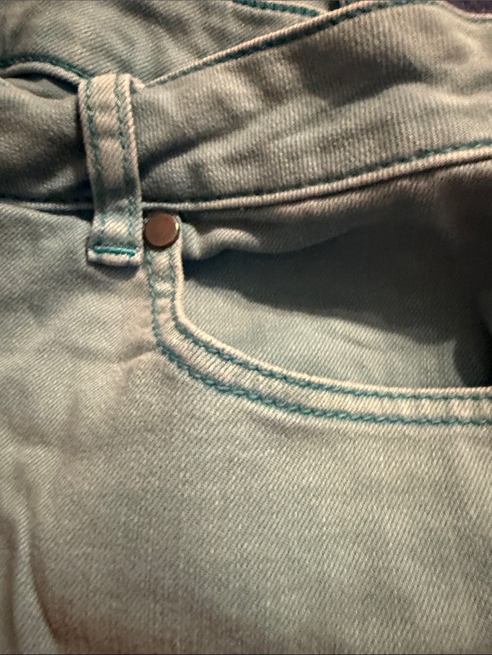 Lane Bryant Light Aqua Denim Shorts - Picture 9 of 13